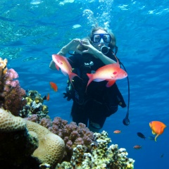 Юлия Абраменкова, 04.04.1989, Москва