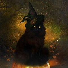 Маргарита Солошенко, 11.09