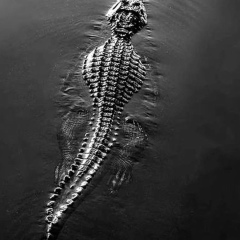 Тимур Сарсеналиев, 20.11