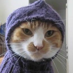 Юрий Провоторов, 09.01, Курск