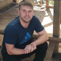 Александр Савченко, Омск