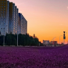Антон Кирсанов, 23.05