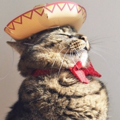 Сергей Терёхин, Пермь