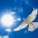 Анна Бах, 03.05, Магнитогорск