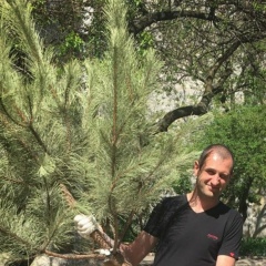 Максим Сидоров, 30.11, Бахмут / Артемовск