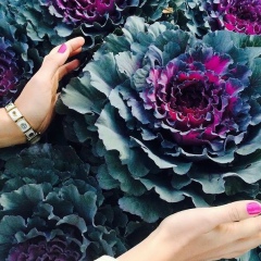 Шолпан Темiрболат, 10.08.1992, Астана