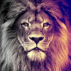 Артур Артуров, 26.01, Омск