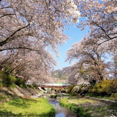 Яна Березовская, 27.10, Санкт-Петербург