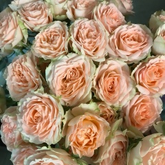 Наталья Абашина, 22.06, Подольск