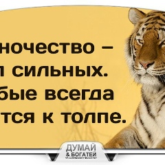 Rau Sall, Санкт-Петербург