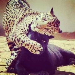 Ксения Канина, 21.05, Иркутск