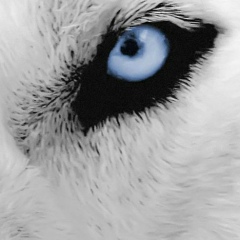 Юрий Коновалов, 16.10.1986, Москва