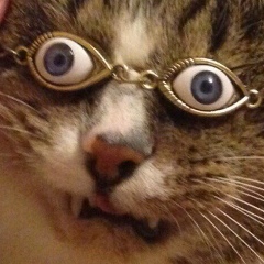 Александр Сухов, 12.01.1988, Винница