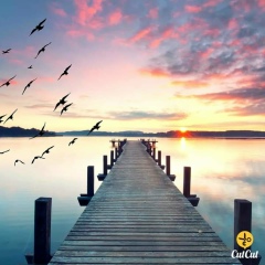 Zinmar Zin, 13.07.1981, Yangon