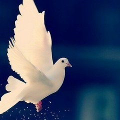 Набиулло Кутфидинов, 19.03, Москва