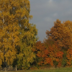 Михаил Ляховец, 04.01, Чернигов