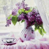 Фариза Костоева, 23.04, Назрань