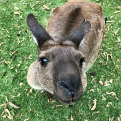 Anna Buckland, 09.02.1988, Москва