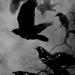 Міша Ворон, 18.08.1999, Иршава