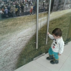 Омар Крабаев, 01.01, Шымкент