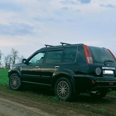 Владимир Авраменко, Санкт-Петербург