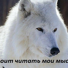 Сергей Михиенков, 23.10.1991, Шалкар