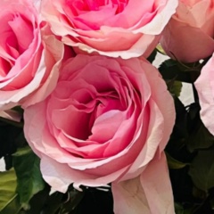 Солнце Луна, Уральск