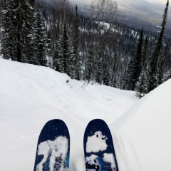 Леонид Ярославцев