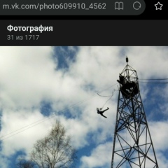 Zebra Полосатик, 21.10, Новосибирск