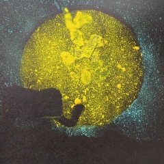 Галина Захаревич, 10.12, Котлас