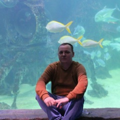 Виталий Рублевский, Красногорск