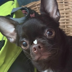 Рина Лебедева, 05.06, Тверь