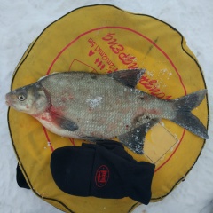 Александр Фролов, Пенза