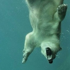 Гарик Скворцов, 20.11, Великие Луки