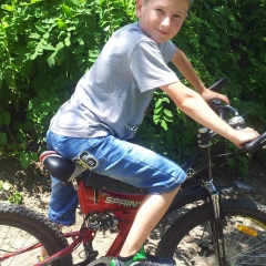 Lilian-Palade Lilian-Palade, Кишинев