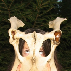 Mother Nature, 26.05.1993, Москва