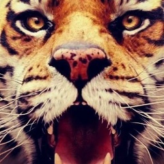 Ангелина Иванова, 01.01, Самарканд