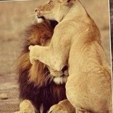 Маржан Алшынбай, 12.08, Шымкент