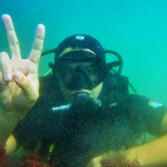 Fox Shameless, 17.05.1990, Malé