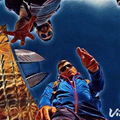 Мудрый Ворон