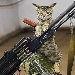 Тома Сармат, 22.08, Xi'an