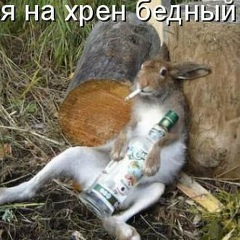 Бакытжан Жарасулы