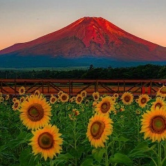 Гулнур Бахтияровна, 01.01.1901, Актау