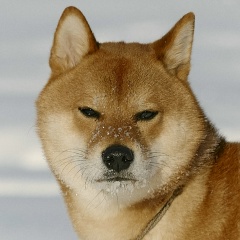 Кирилл Машковцев, 26.12, Саров