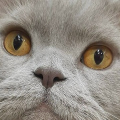 Аксинья Лисова, 02.12, Мурманск