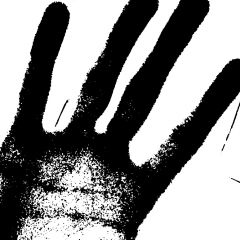 Андрей Шейн, 29.12, Санкт-Петербург