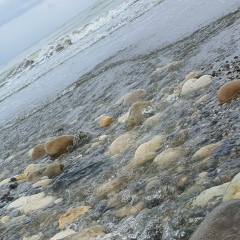 Helga Jafari, 01.01.1990, Харьков