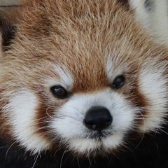 Филипп Никифоров, 05.03