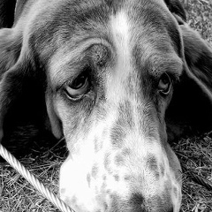 Ratmir Maravias, 15.10.1986, Ramla