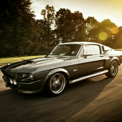 Джаныбек Джаныбеков, Kingston